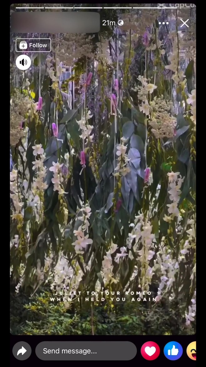 Cận cảnh không gian tiệc kín của Midu và thiếu gia Minh Đạt: Bao trọn resort để phủ kín hoa tươi, nhìn là biết hỷ sự hào môn-4