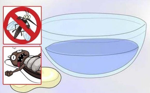 Muỗi sợ nhất bát nước này, chỉ cần đặt một vài cái trong nhà, muỗi và côn trùng bị diệt sạch sẽ-2