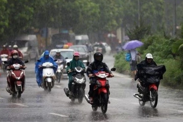 Vụ dòi bò lúc nhúc trong pate: Đình chỉ vĩnh viễn hoạt động quán-2