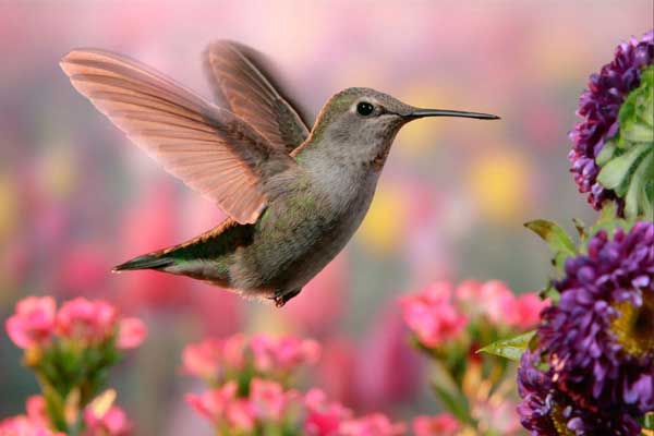 Tử vi tuần mới (13/5 - 19/5): 4 con giáp gặp được Thần tài, không chỉ tiền tươi thóc thật đổ về túi mà công việc cũng nhiều tin vui-5