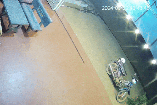 Nữ giúp việc tìm thấy bọc vàng hơn 2 lượng trong túi đồ cũ: Tôi run lắm-3