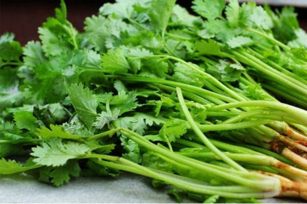 1 loại lá thơm bán nhiều ở chợ Việt: hạ đường huyết nhạy như insulin, cực tốt cho tiêu hóa lại bổ não tăng trí nhớ-1