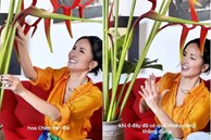 Phong cách cắm hoa độc đáo của Diva Hồng Nhung trong penthouse sang trọng