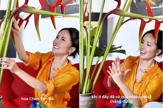 Phong cách cắm hoa độc đáo của Diva Hồng Nhung trong penthouse sang trọng