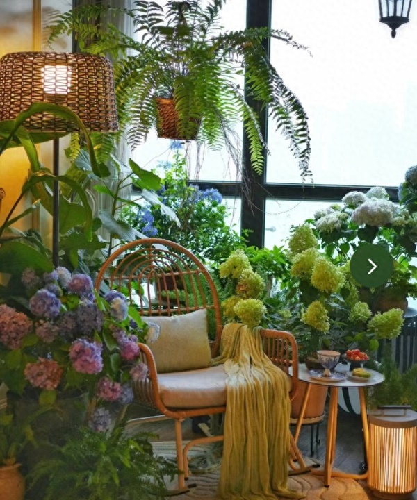 Cây cảnh lá đẹp hơn hoa, biến ban công thành thiên đường nhiệt đới mát lành, xua tan oi bức-1