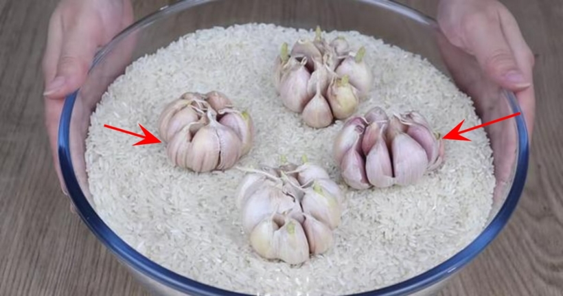 Công dụng của việc vùi củ tỏi vào thùng gạo-2