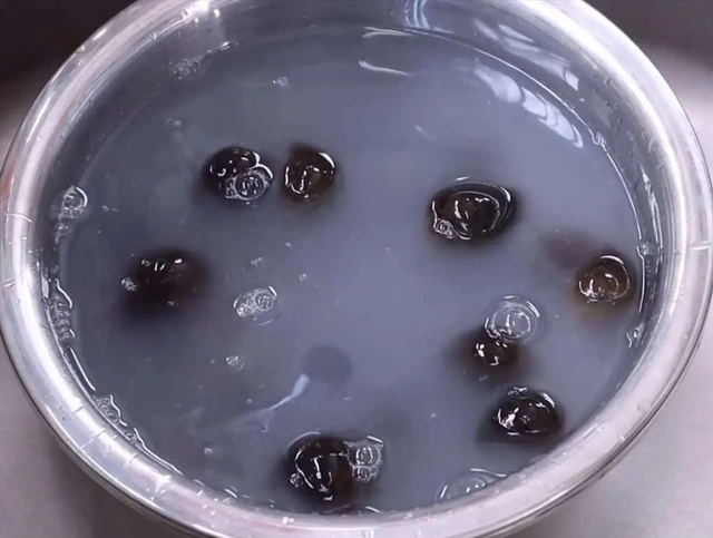 Ngâm ốc mà nhà không có ớt thì hãy bỏ vào thứ này: Ốc nhanh nhả đất, hết mùi tanh-1