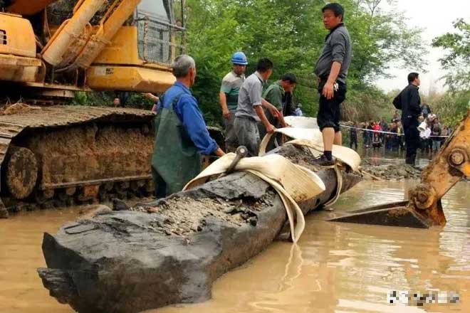 Công trường dừng thi công khẩn cấp vì máy xúc đào trúng 13.000 kg gỗ tỏa mùi thơm, ước tính hơn 71 tỷ đồng-5