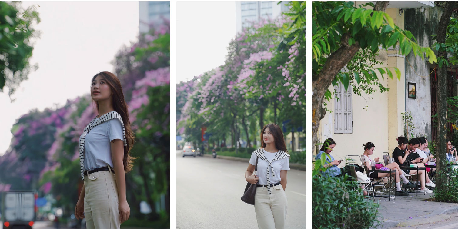 Từ đường phố Hà Nội tới MXH đều ngập sắc tím bằng lăng: Năm nào cũng nở nhưng năm nay bỗng phủ sóng khắp mọi mặt trận-3