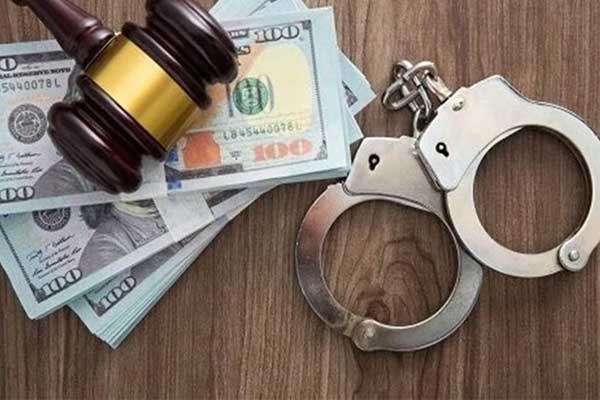 Nữ lao công làm giám đốc của 127 công ty bị kết án tù-1