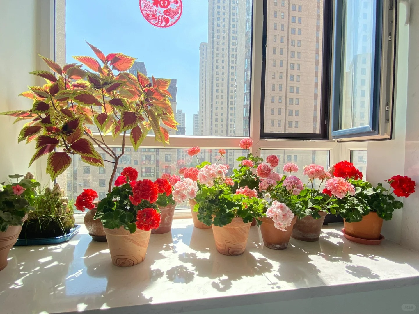 Người xưa nói: Trồng cây cảnh ở 3 nơi, hoa héo, người ốm, tài lộc thất thoát-2