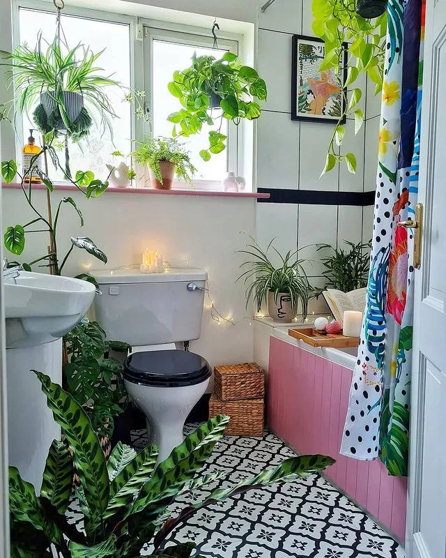 Người xưa nói: Trồng cây cảnh ở 3 nơi, hoa héo, người ốm, tài lộc thất thoát-3