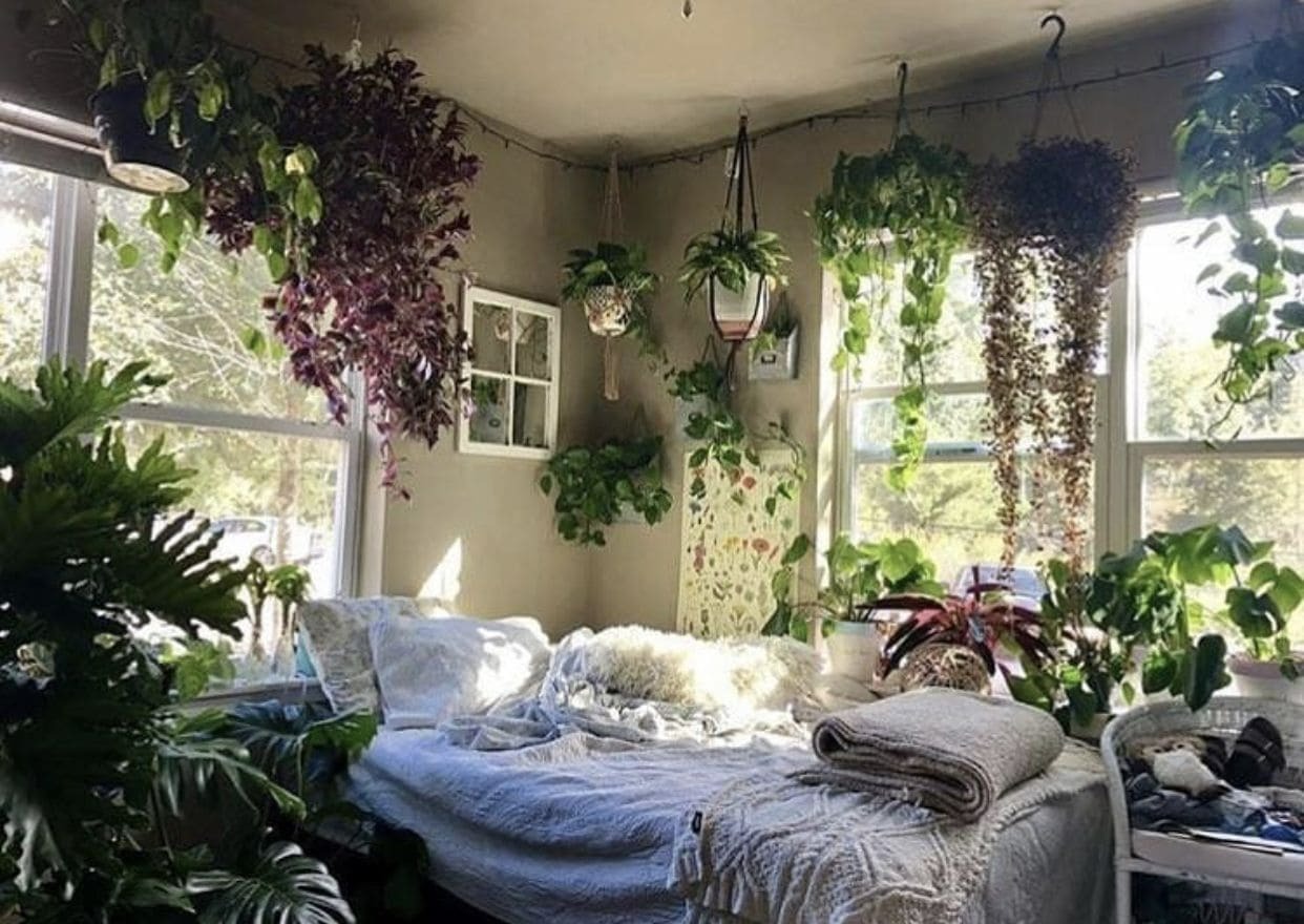 Người xưa nói: Trồng cây cảnh ở 3 nơi, hoa héo, người ốm, tài lộc thất thoát-5