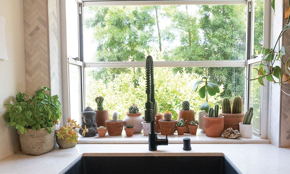 Người xưa nói: Trồng cây cảnh ở 3 nơi, hoa héo, người ốm, tài lộc thất thoát-7