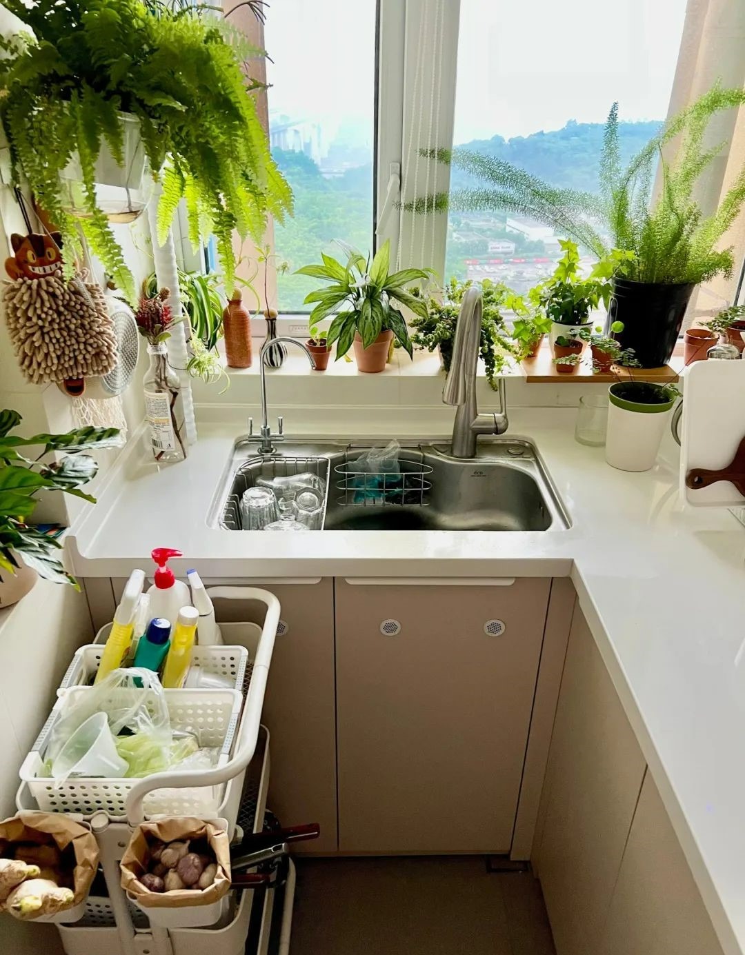 Người xưa nói: Trồng cây cảnh ở 3 nơi, hoa héo, người ốm, tài lộc thất thoát-8