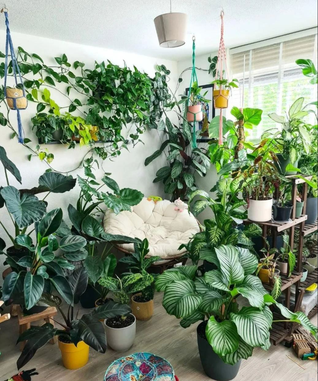 Người xưa nói: Trồng cây cảnh ở 3 nơi, hoa héo, người ốm, tài lộc thất thoát-9