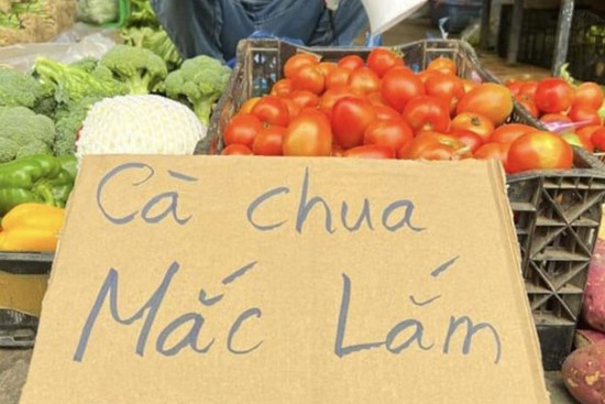 Giá cà chua tăng cao đột biến