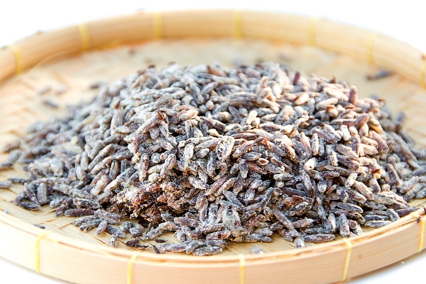 3 loại gạo có thể khiến gan, thận tổn thương, dẫn lối ung thư: Nhớ 3 LƯU Ý để chọn gạo an toàn-1