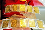 NHNN hạ giá vàng phút chót, đấu thầu thành công 8.100 lượng vàng miếng SJC