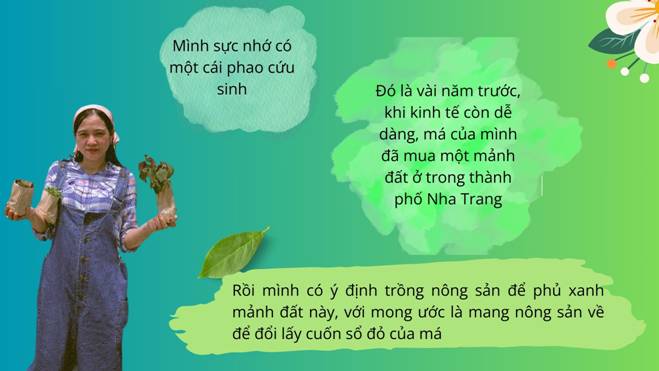 Xin mẹ mảnh đất để trồng rau, mẹ đảm Nha Trang mạnh tay đầu tư 200 triệu làm vườn-2