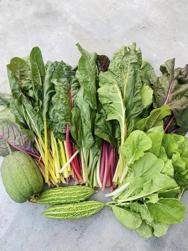 Xin mẹ mảnh đất để trồng rau, mẹ đảm Nha Trang mạnh tay đầu tư 200 triệu làm vườn-6