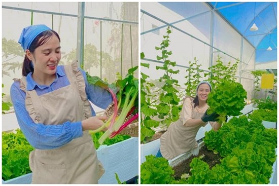 Xin mẹ mảnh đất để trồng rau, mẹ đảm Nha Trang mạnh tay đầu tư 200 triệu làm vườn