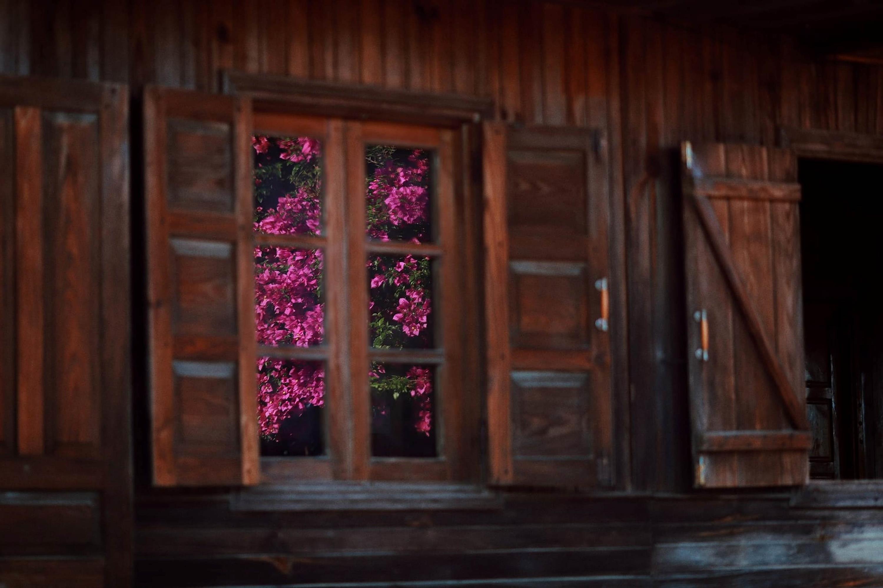 Cây hoa giấy đẹp siêu thực mỗi năm đều hút khách ở Đà Lạt-13