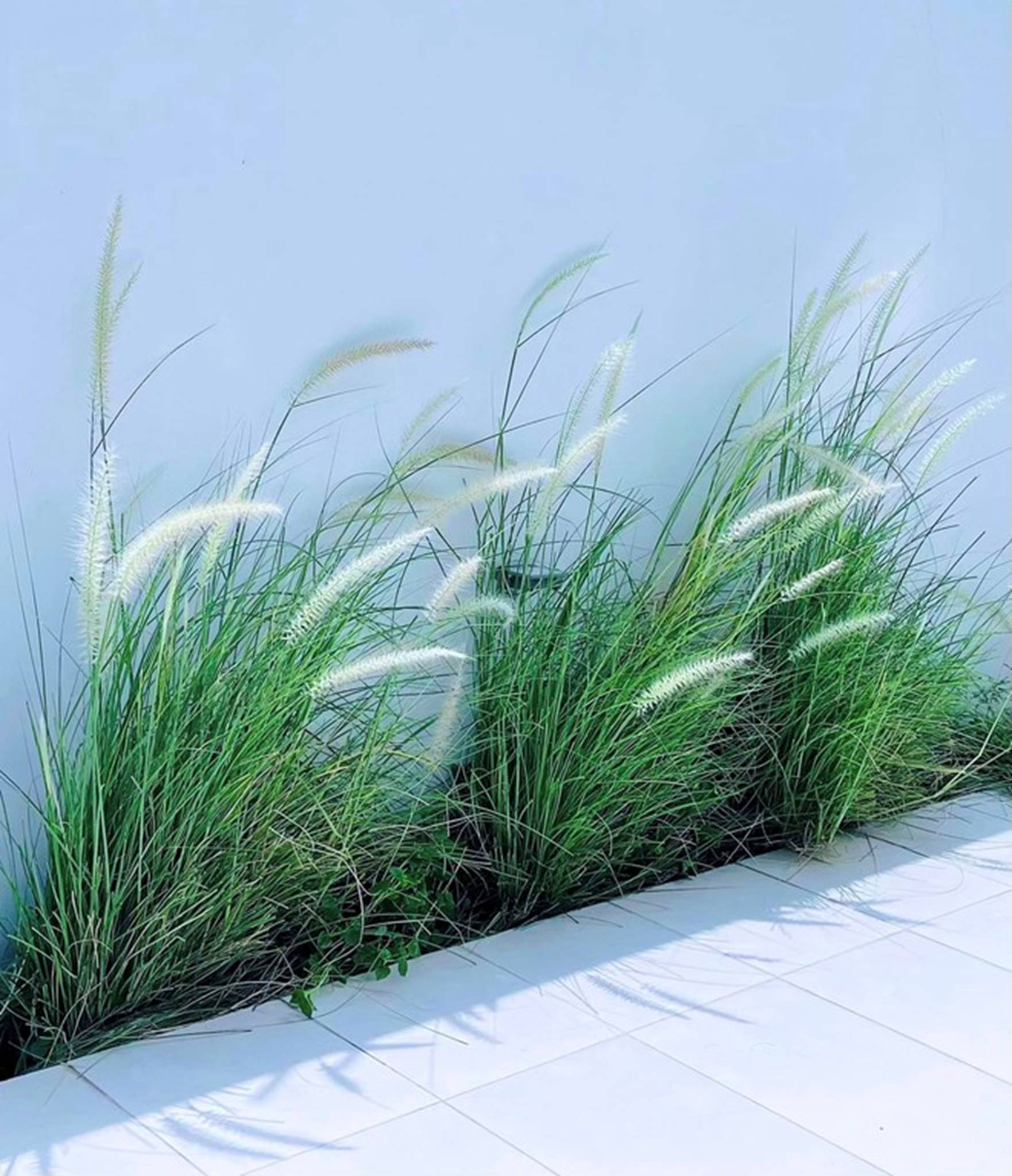 Sau thời gian biến mất trên MXH, Thủy Tiên khoe loạt ảnh cận biệt thự triệu đô-3