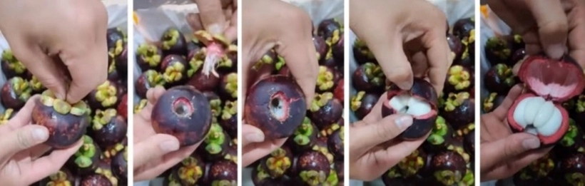 Bí quyết bóc vỏ măng cụt nhanh như chớp không cần dùng dao-1