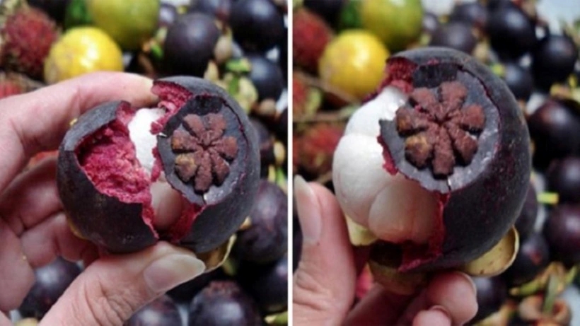 Bí quyết bóc vỏ măng cụt nhanh như chớp không cần dùng dao-2