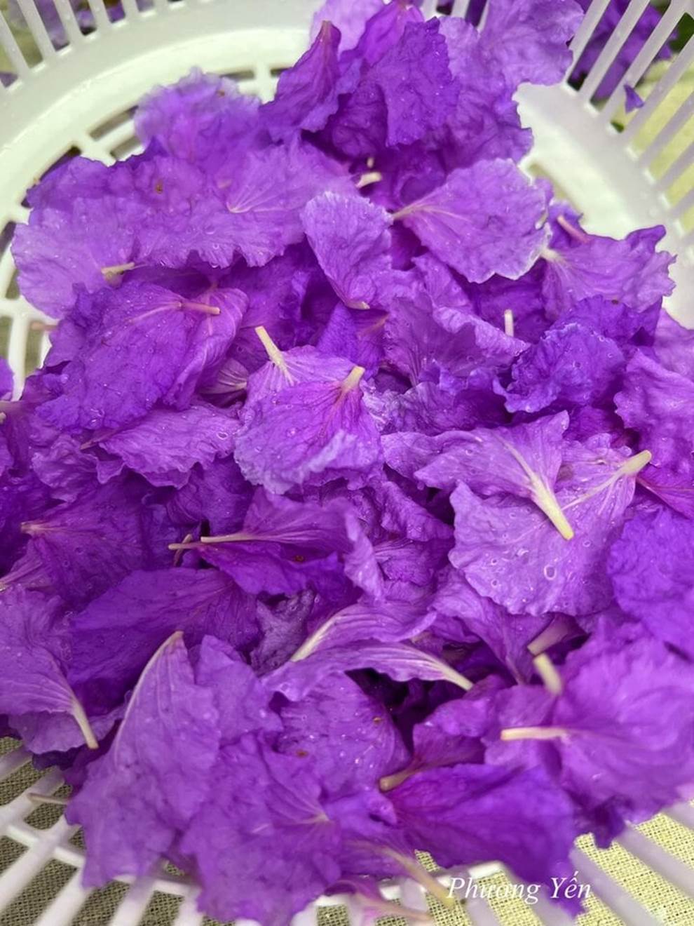 Món gỏi hoa bằng lăng của người phụ nữ Hà Nội gây sốt mạng-1