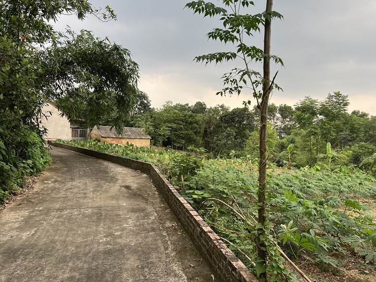 Đất nền tăng giá, thị trường nhà đất đã ấm lên hay chỉ sốt ảo?-3