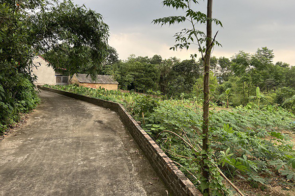 Giá đất Hòa Lạc nóng rẫy, nhà đầu tư nghi ngại rút khỏi thị trường-2