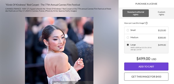 Clip 15 giây của Thảo Nhi Lê trên thảm đỏ Cannes, thái độ truyền thông quốc tế thế nào?-6