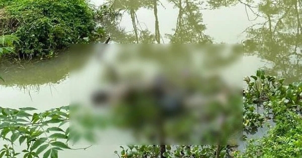 Bắc Giang: Phát hiện thi thể người đàn ông tử vong dưới mương nước-1
