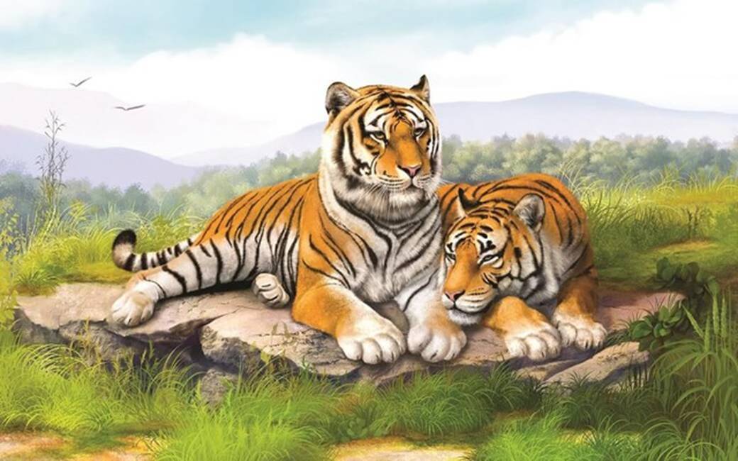 Nửa cuối tháng 5, hạnh phúc, may mắn sẽ tự tìm đến 4 con giáp này giúp cuộc sống gia đình viên mãn-2