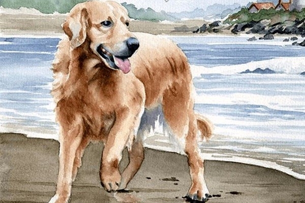 Tử vi ngày 19/5/2024: Giờ tốt, màu sắc cát tường và con số may mắn hôm nay cho 12 con giáp-13