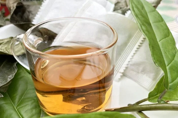 Uống nước xạ đen thế nào tốt cho sức khoẻ?-2