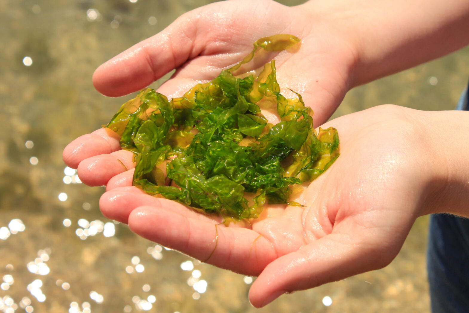 Món canh bơm máu bổ không kém thịt bò, gan lợn: Hạ đường huyết, đánh bay mỡ máu, người sống thọ cực thích-2