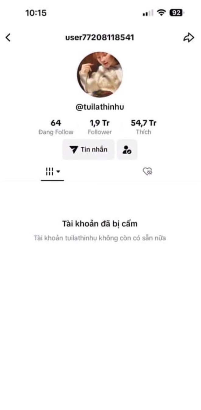 Kênh TikTok Eat Clean Hong - Thu Nhi với 1,9 triệu followers bị cấm vĩnh viễn, lý do vì sao?-2