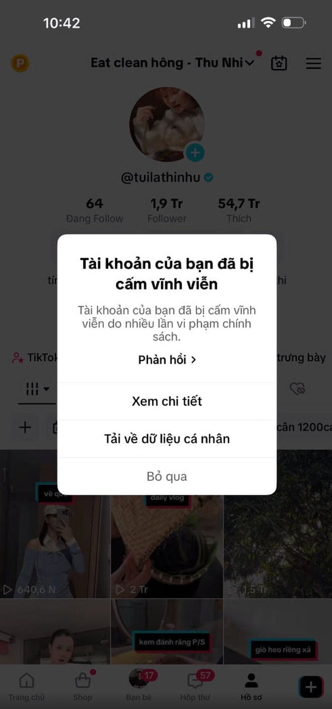 Kênh TikTok Eat Clean Hong - Thu Nhi với 1,9 triệu followers bị cấm vĩnh viễn, lý do vì sao?-3