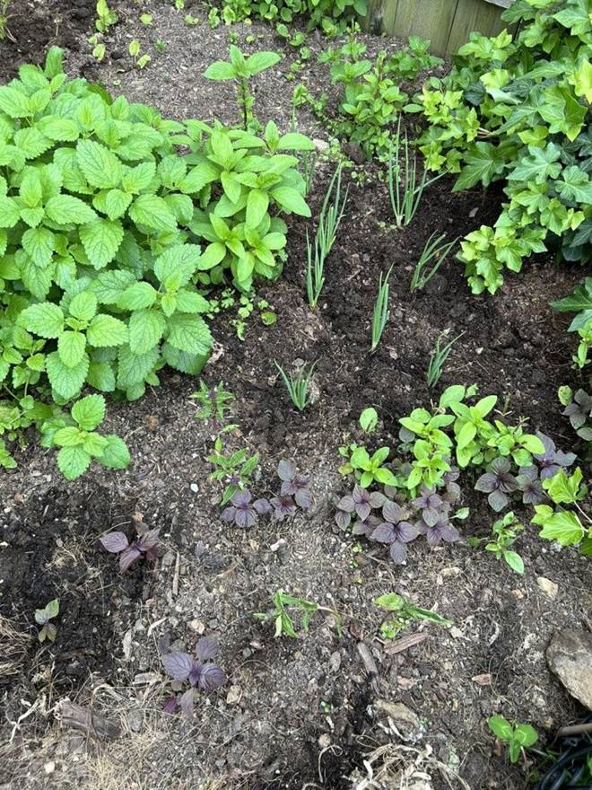 Bị nói ở khu nhà ổ chuột, Trang Trần khoe không gian xung quanh nhiều người mơ không được-2