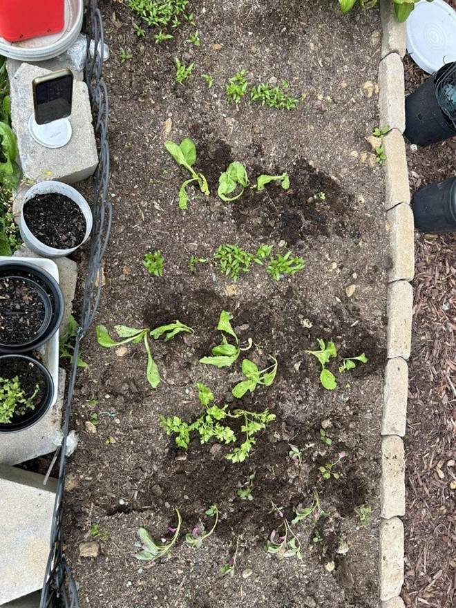 Bị nói ở khu nhà ổ chuột, Trang Trần khoe không gian xung quanh nhiều người mơ không được-4