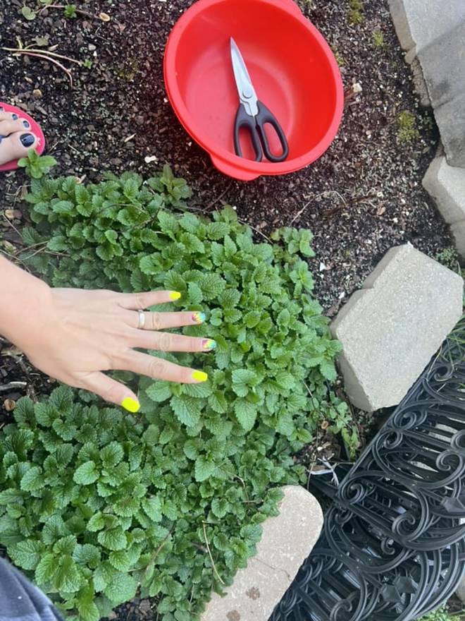 Bị nói ở khu nhà ổ chuột, Trang Trần khoe không gian xung quanh nhiều người mơ không được-6