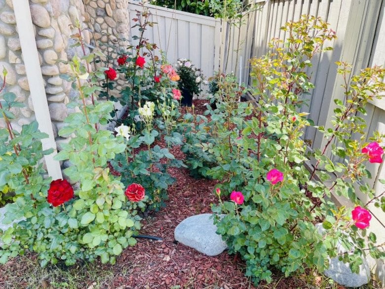 Diệu Hương đóng vai San trong ‘Hoa hồng trên ngực trái’ bây giờ ra sao?-6