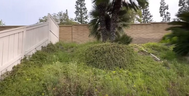 Tậu biệt thự thứ 3 tại Mỹ, Thúy Nga tiết lộ là người đang kinh doanh ngầm-22