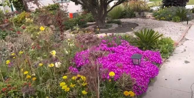 Tậu biệt thự thứ 3 tại Mỹ, Thúy Nga tiết lộ là người đang kinh doanh ngầm-25