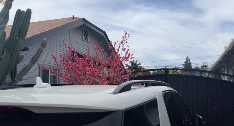 Căn nhà 16 tỷ của diễn viên Đức Tiến tại Mỹ trước khi qua đời-29