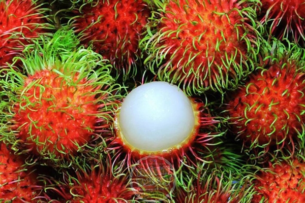 Điện thoại còn bao nhiêu phần trăm pin thì nên cắm sạc-2