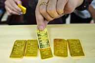 Đấu thầu thành công 7.900 lượng vàng miếng SJC với giá 89,42 triệu đồng/lượng